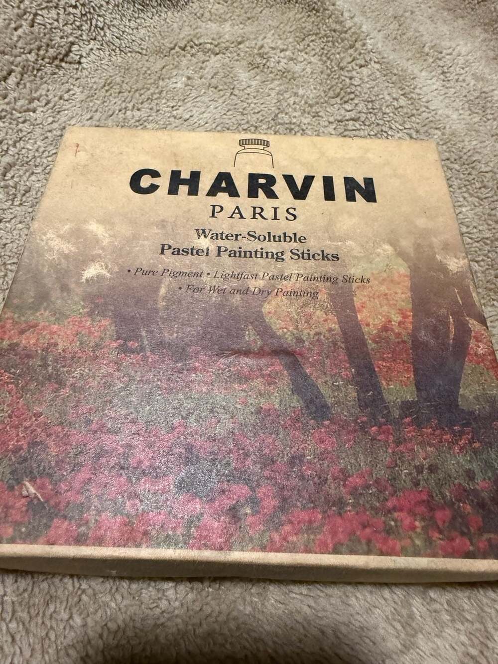 Charvin Water-Soluble Pastel Painting Sticks Set